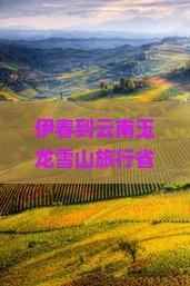 伊春到云南玉龙雪山旅行社