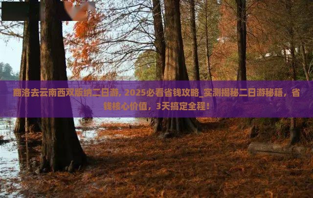 商洛去云南西双版纳二日游