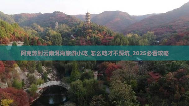 阿克苏到云南洱海旅游小吃