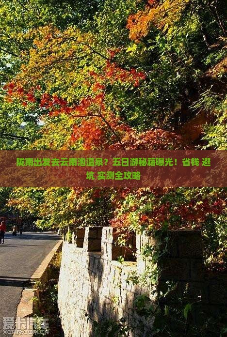 陇南去云南温泉五日游