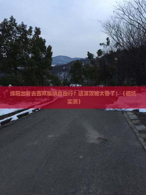 绵阳到云南西双版纳自由行