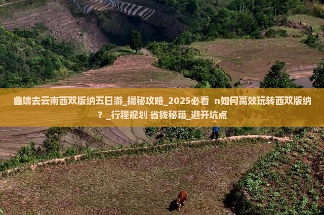 曲靖去云南西双版纳五日游