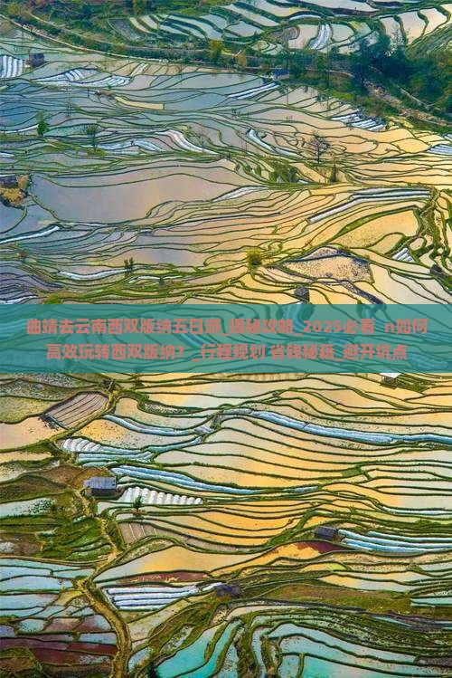 曲靖去云南西双版纳五日游