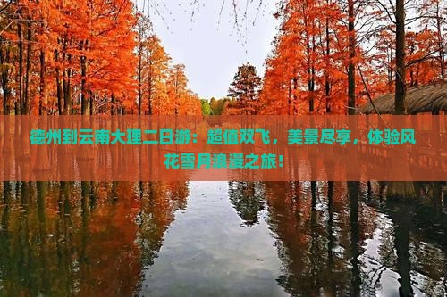 德州到云南大理二日游