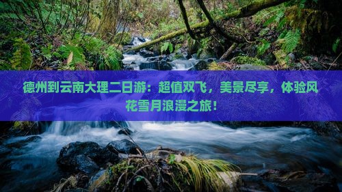 德州到云南大理二日游