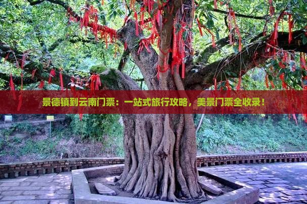 景德镇到云南门票