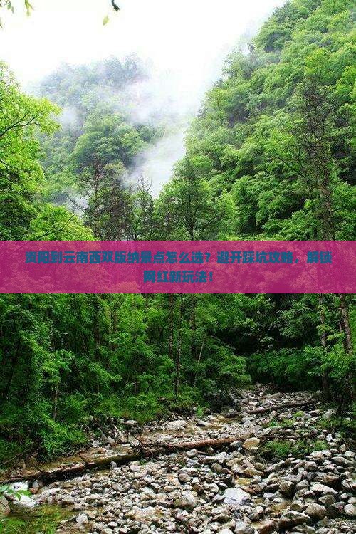 资阳到云南西双版纳景点