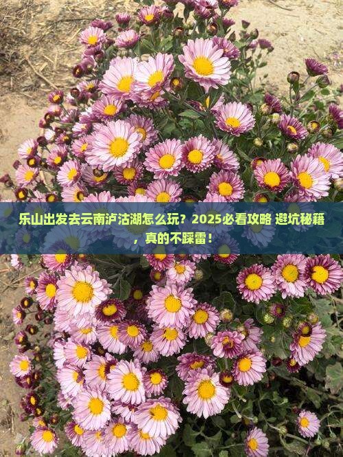 乐山到云南泸沽湖旅行社