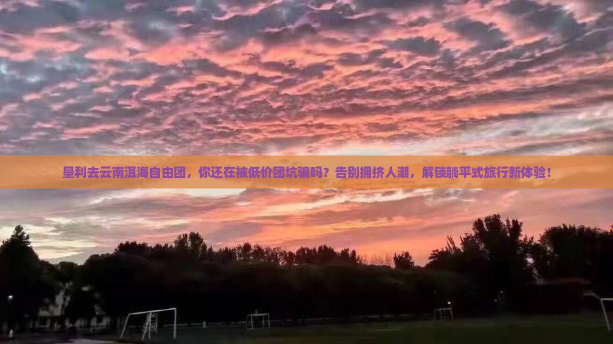 垦利去云南洱海自由团