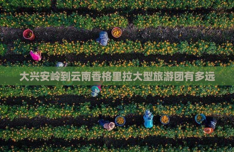 大兴安岭到云南香格里拉大型旅游团