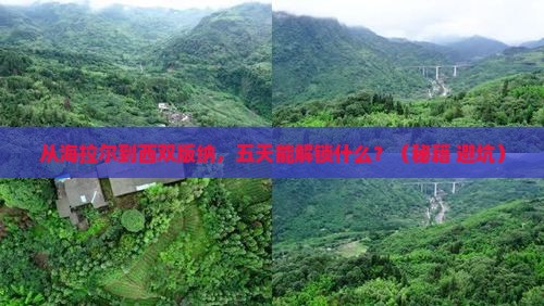 海拉尔去云南西双版纳五日游