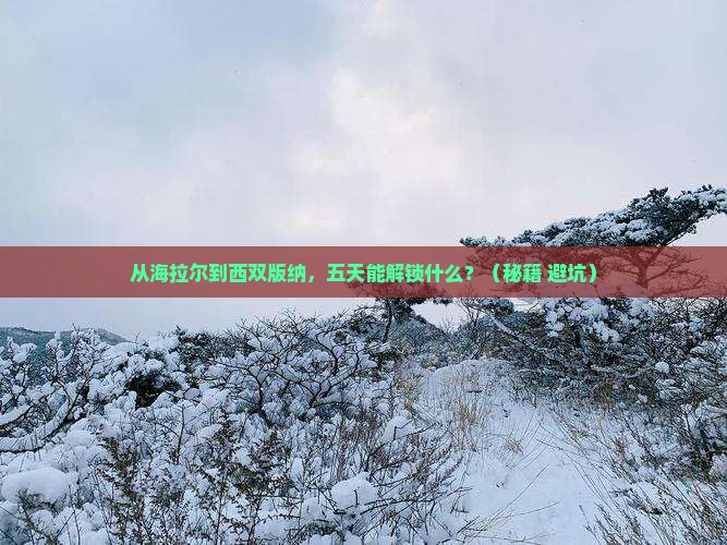 海拉尔去云南西双版纳五日游
