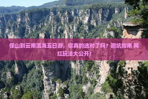 保山到云南洱海五日游