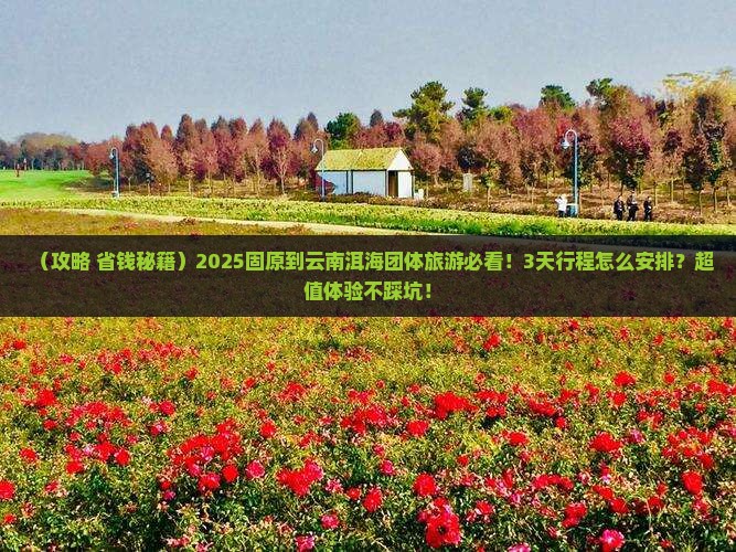 固原到云南洱海团体旅游