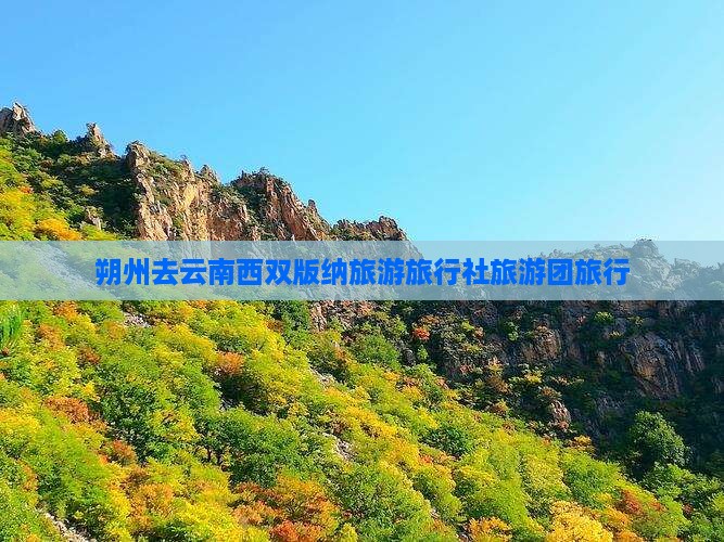 朔州去云南西双版纳旅行社
