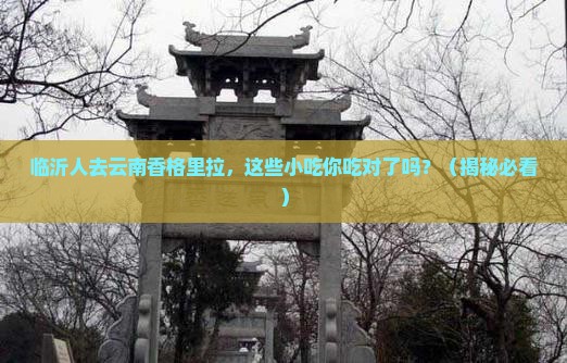 临沂去云南香格里拉旅游小吃