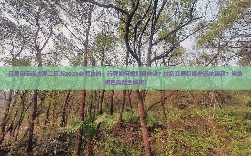 宜昌到云南大理二日游