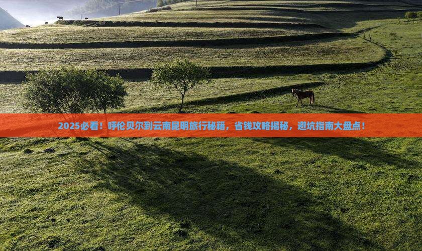 呼伦贝尔到云南昆明旅行社