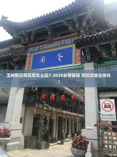 玉树到云南昆明哪里玩 玉树到云南昆明哪里玩