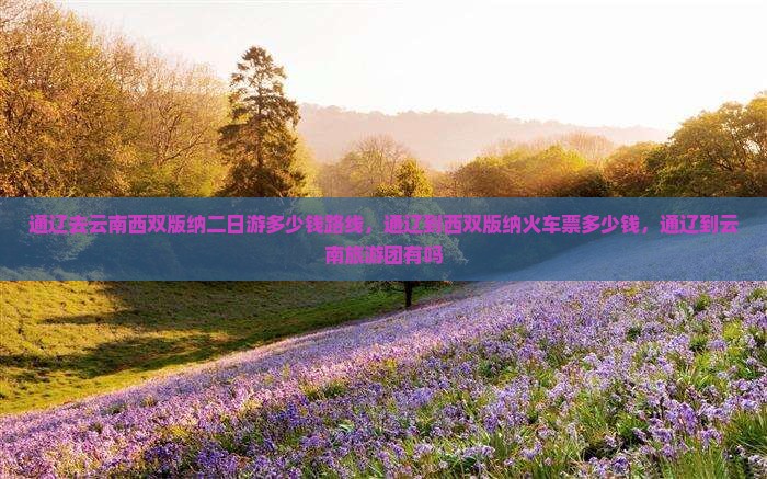 通辽去云南西双版纳二日游