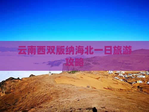 海北去云南西双版纳一日