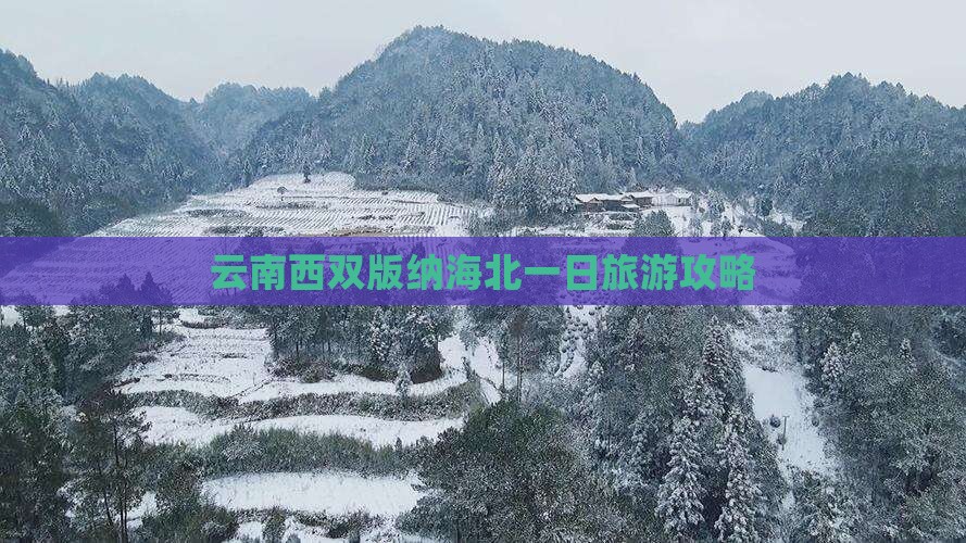 海北去云南西双版纳一日