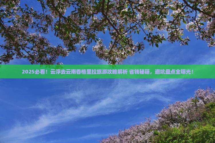 云浮去云南香格里拉哪里玩