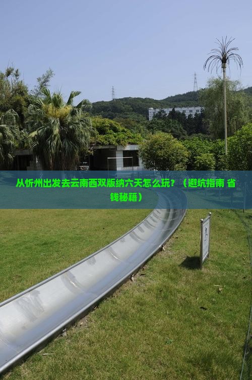 忻州去云南西双版纳六日游