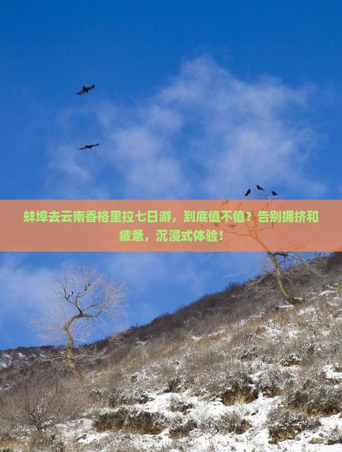 蚌埠去云南香格里拉七日游