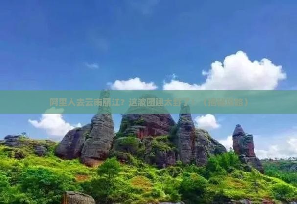 阿里去云南丽江团体旅游