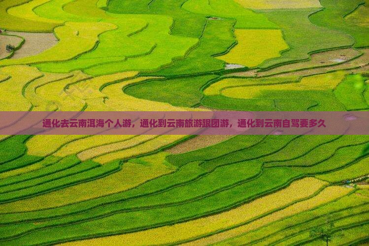 通化去云南洱海个人游
