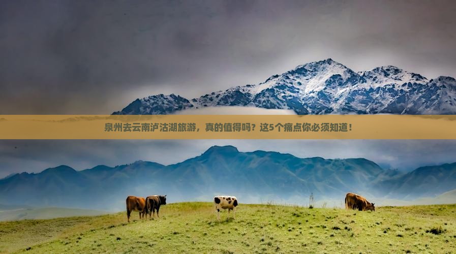 泉州去云南泸沽湖旅游