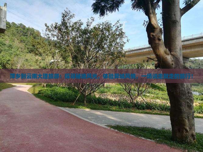 萍乡到云南大理旅游