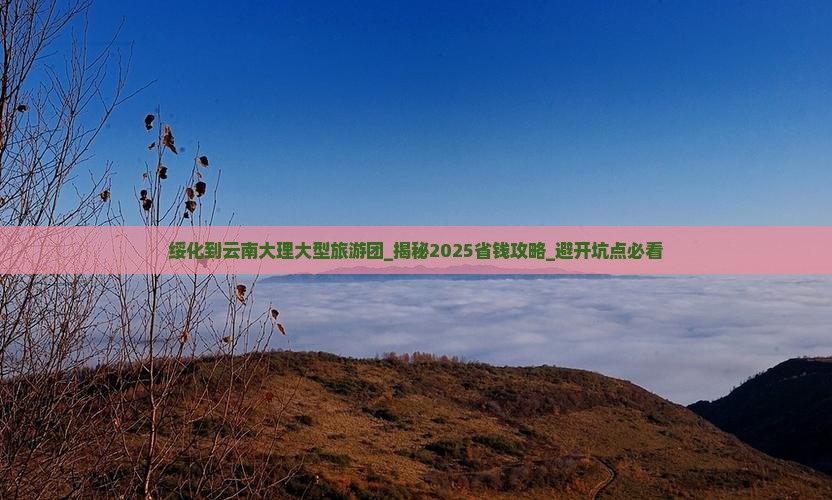 绥化到云南大理大型旅游团