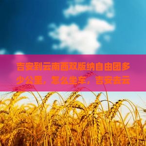 吉安到云南西双版纳自由团