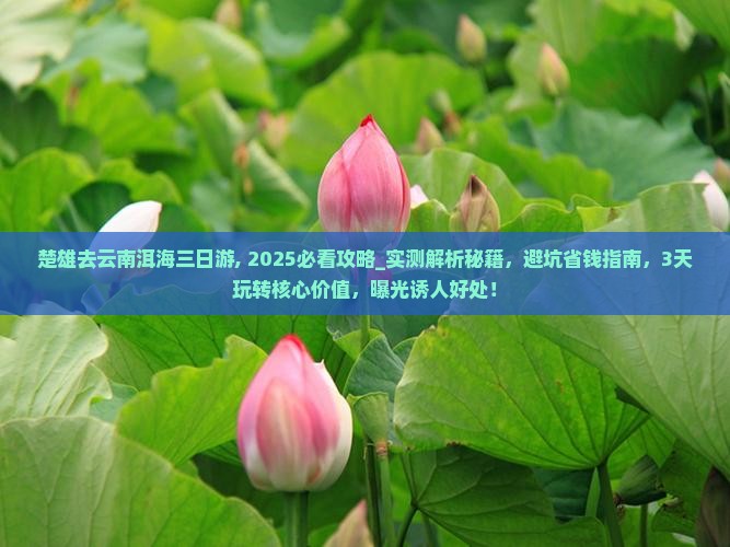 楚雄去云南洱海三日游