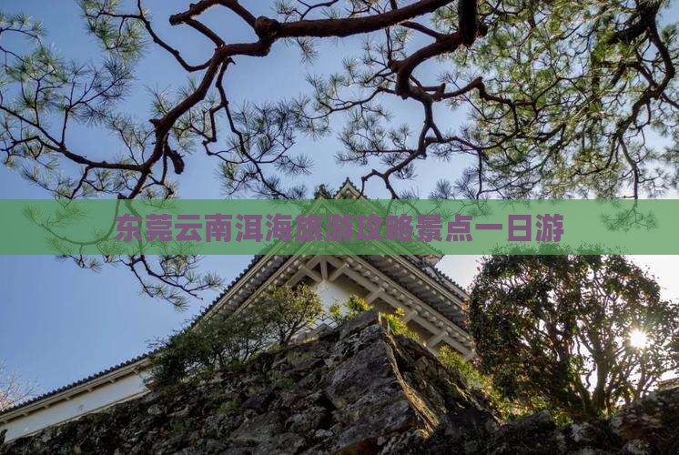 东莞去云南洱海一日