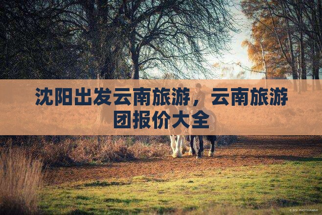 沈阳到云南古城大型旅游团