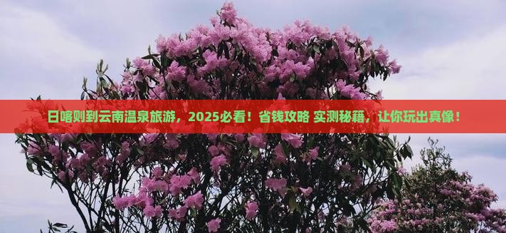 日喀则到云南温泉旅游