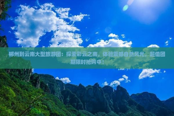 郴州到云南大型旅游团