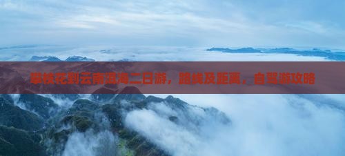 攀枝花到云南洱海二日游