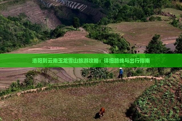 洛阳到云南玉龙雪山攻略