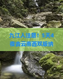 九江去云南西双版纳大型旅游团