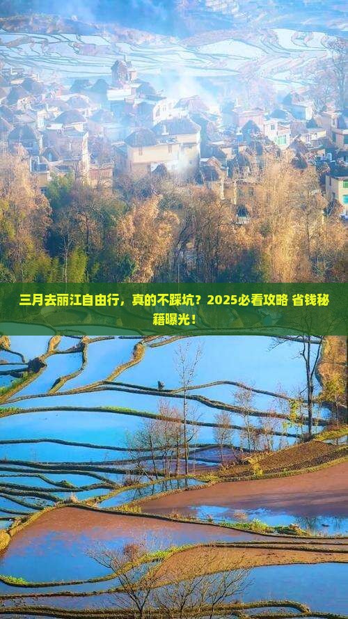 三月到云南丽江自由行