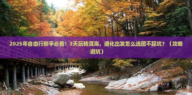 通化到云南洱海自由团