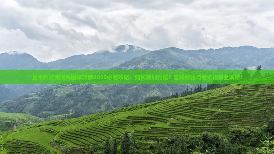 吕梁到云南洱海团体旅游