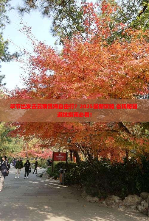 毕节去云南洱海自由团