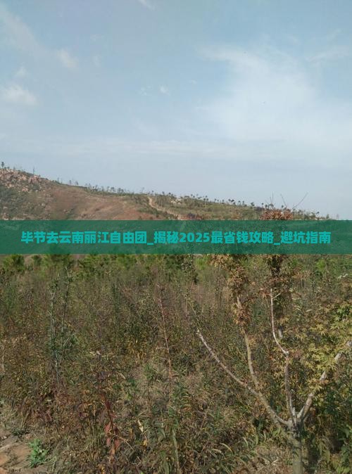 毕节去云南丽江自由团