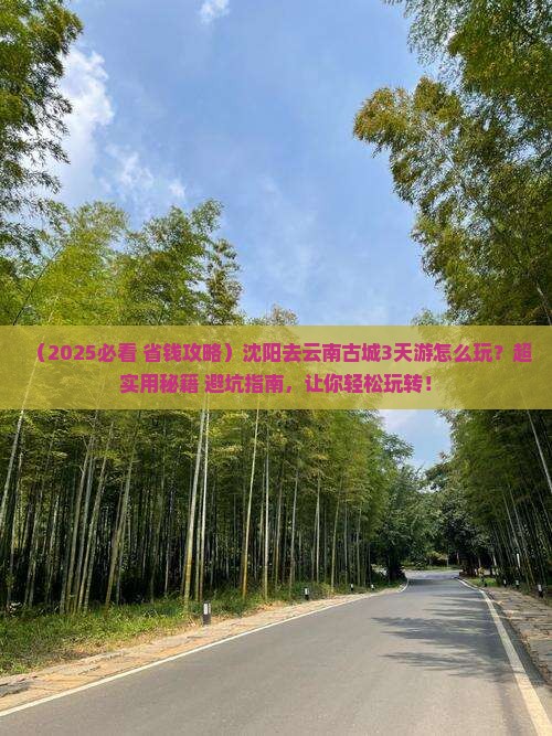 沈阳到云南古城三日游