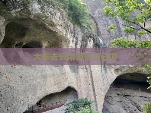 大丰去云南洱海四日游